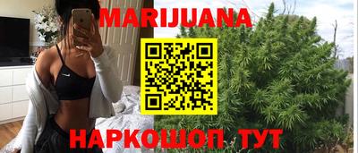 тгк Кингисепп