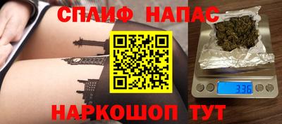 тгк Кингисепп