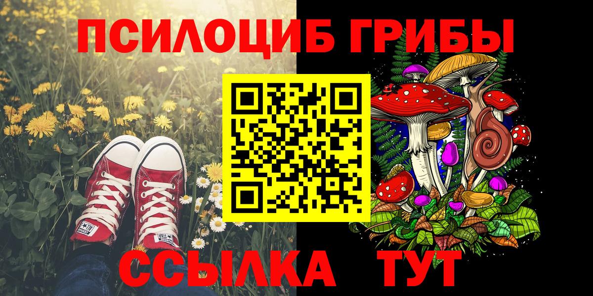 Галлюциногенные грибы ЛСД  Псилоцибиновые грибы Psilocybe  где купить наркоту  Чапаевск  Вход с VPN 